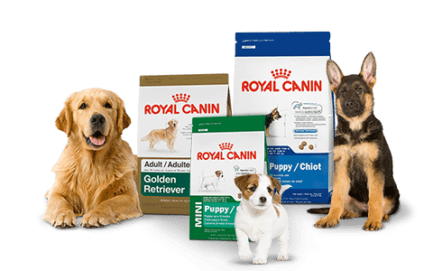 Royal Canin,Drools,choostix Dog food buy online free fast delivery all over India