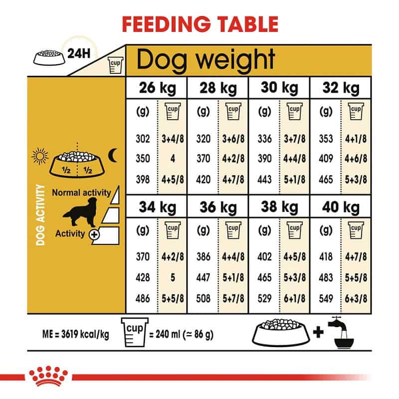 royal canin golden retriever feeding guidelines