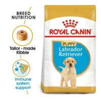 royal canin lab puppy features