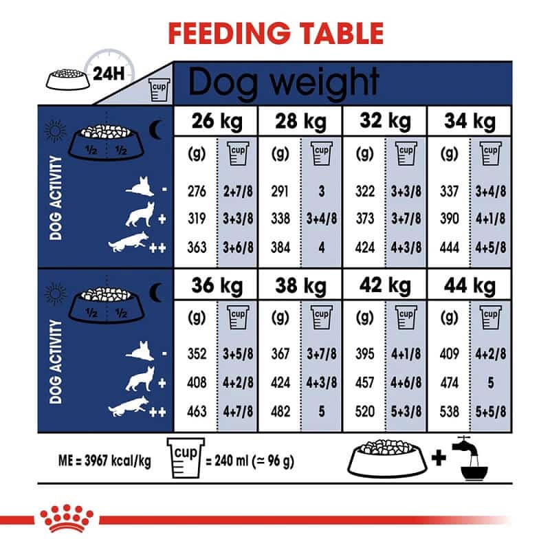 royal canin maxi adult feeding guidelines