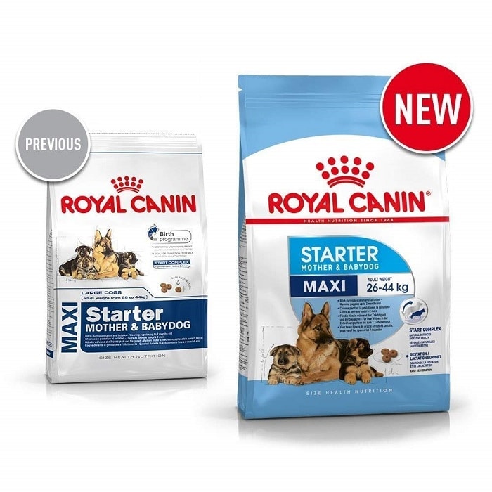 royal canin maxi starter