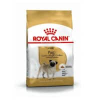 royal canin pug adult