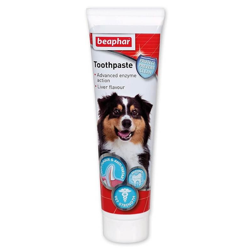 beaphat toothpaste for dogs