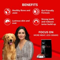 focus adult for dogs