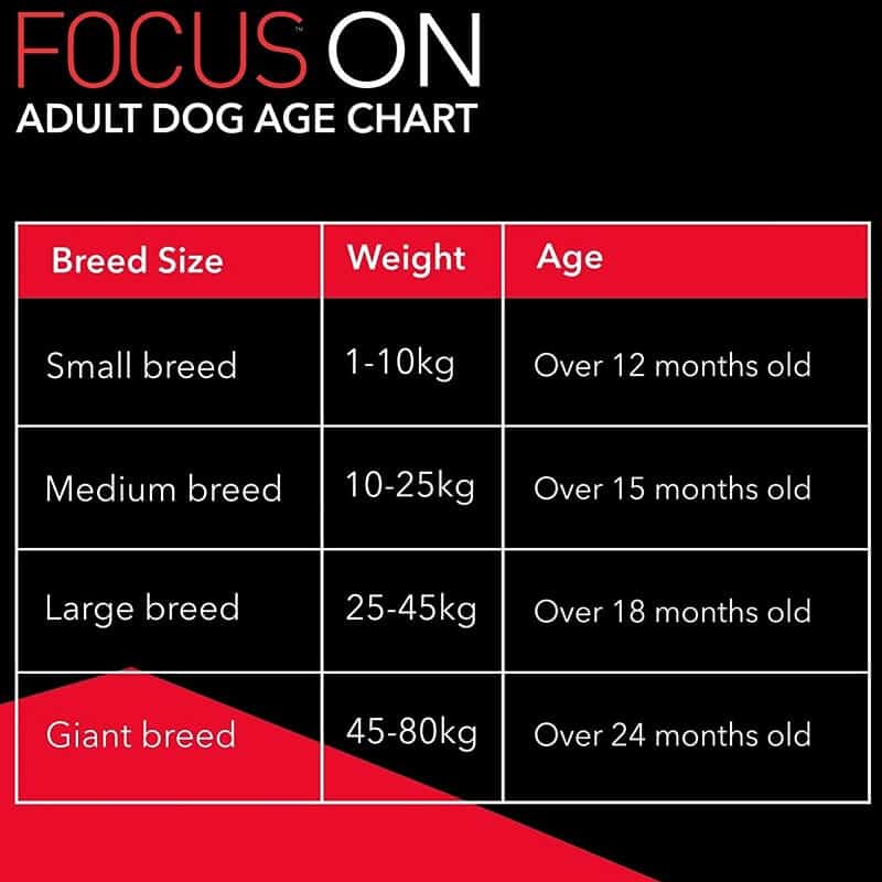 drools focus adult feeding guide
