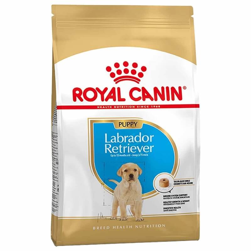 royal canin lab puppy junior