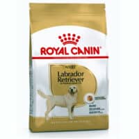 royal canin lab adult new