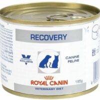 royal canin recovery can