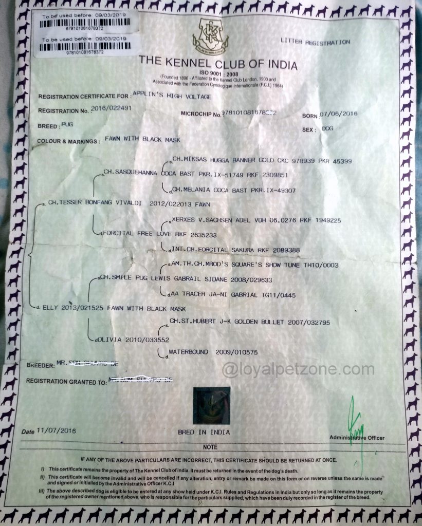 kci dog registration certificate