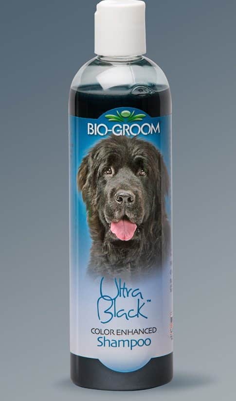 Biogroom ultra black dog shampoo