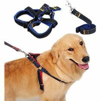 Dog/cat collars and leash