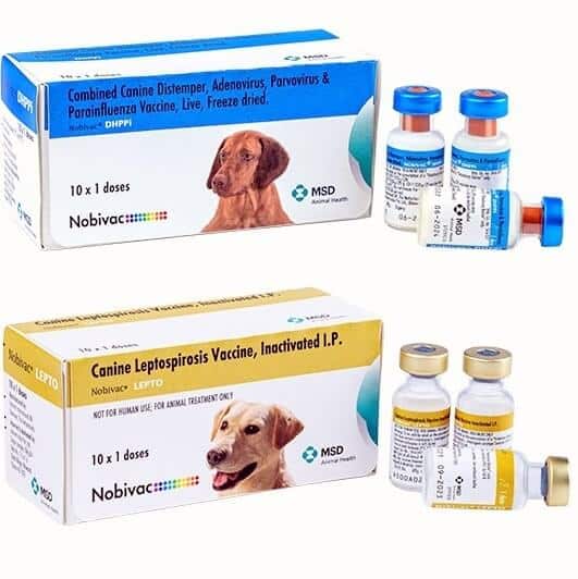 Nobivac dhppil dog vaccine