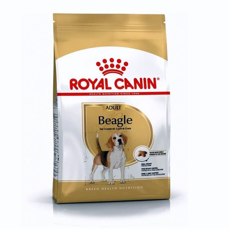 royal canin beagle adult