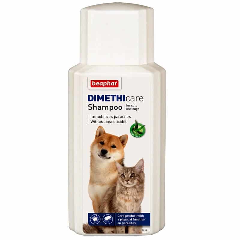 beaphar dimethicare shampoo