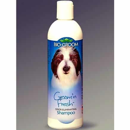 biogroom groom n fresh shampoo
