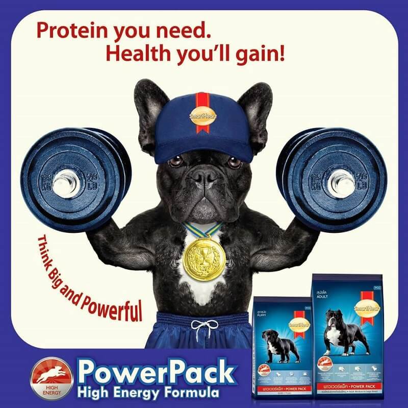 smartheart power pack puppy