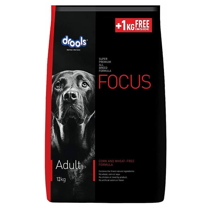 drools focus adult 12kg+1kg free