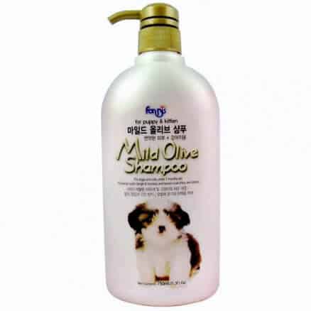 forbis mild olive shampoo