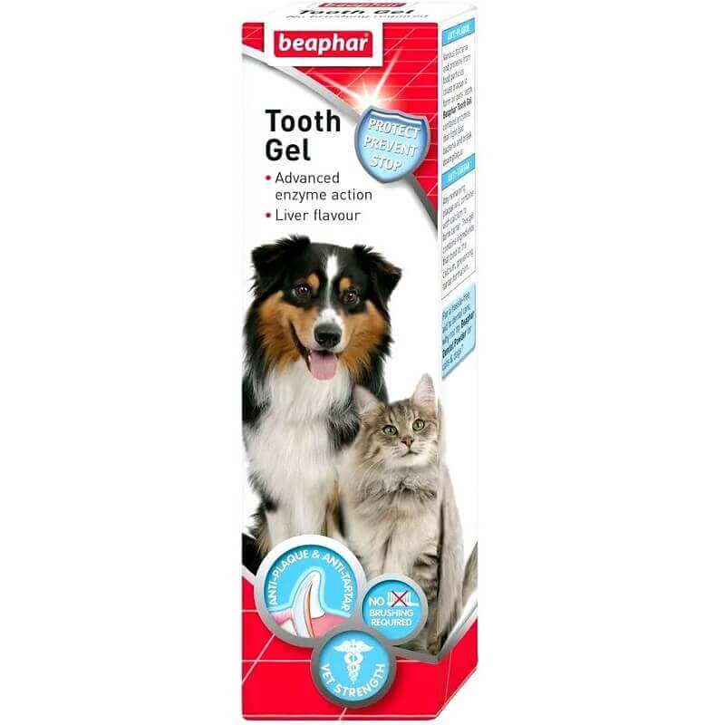 beaphar teeth gel