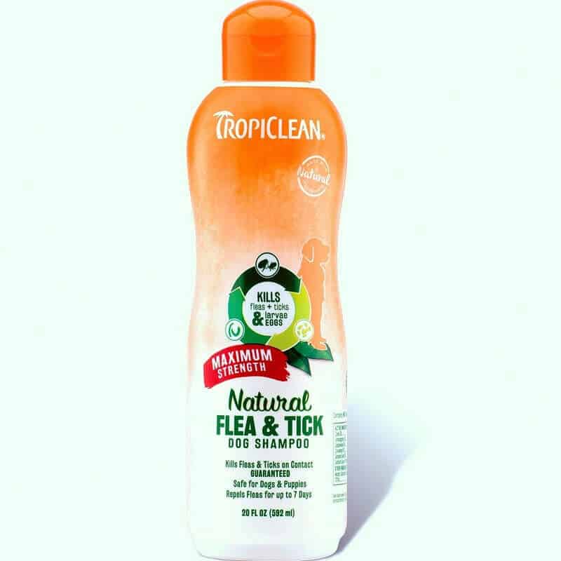 tropiclean natural flea tick shampoo maximum strength