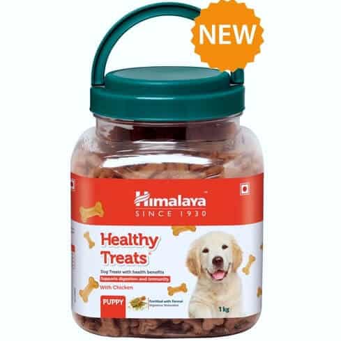 himalaya healthy puppy treats