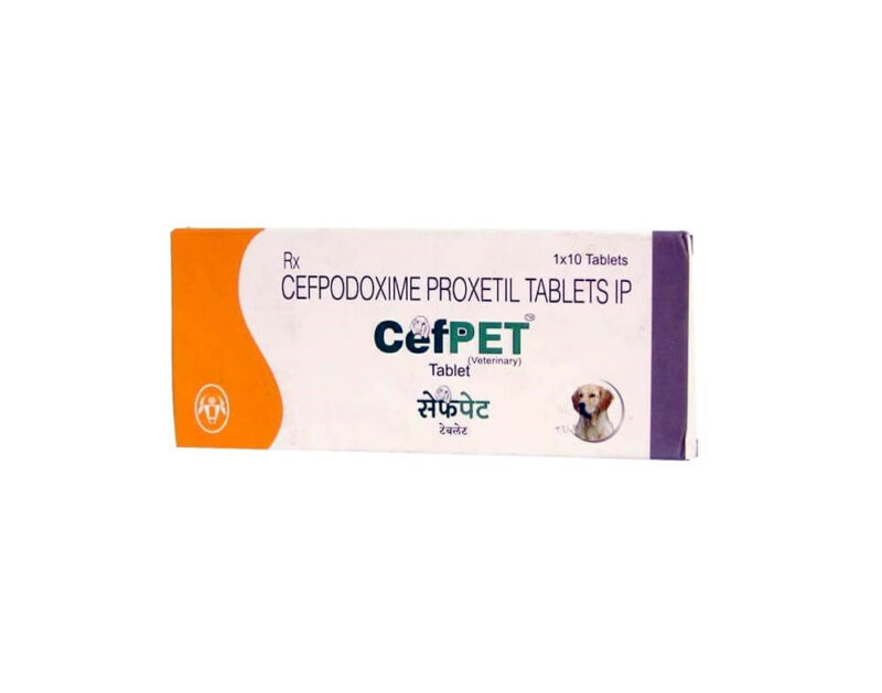 intas cefpet antibiotic for dogs and cats