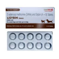 lisybin small