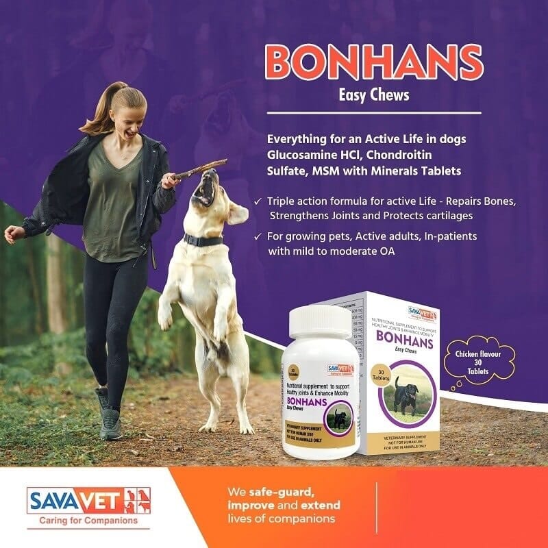 bonhans chews dogs