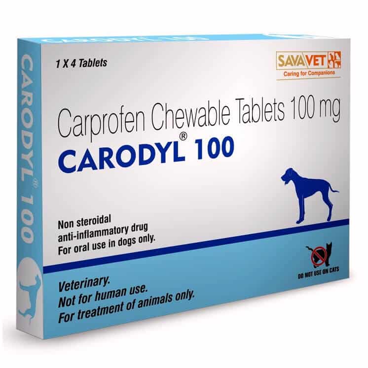 carodyl dog pain killer 100mg