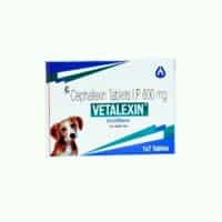 vetlexin antibiotic for dogs and cats