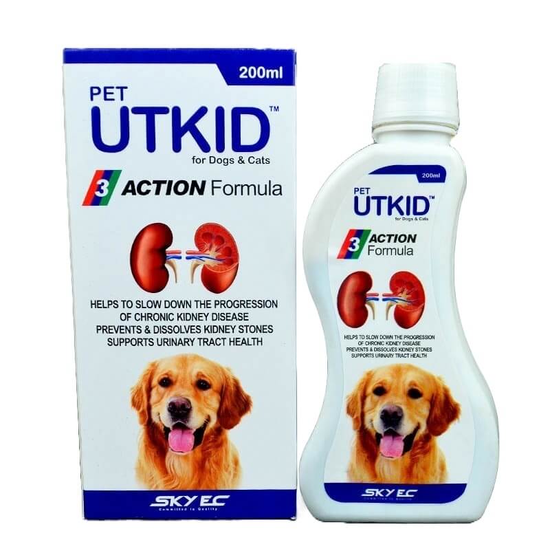 utkid syrup dogs cats
