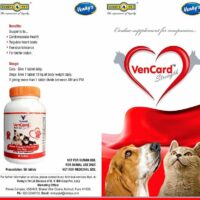 vencard dogs cats