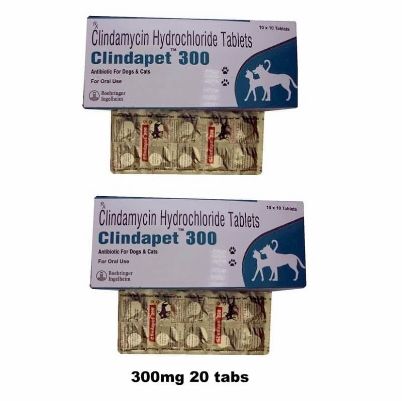Clindapet 30ml/ 150mg/ 300mg Clindamycin antibiotic for dogs & cats