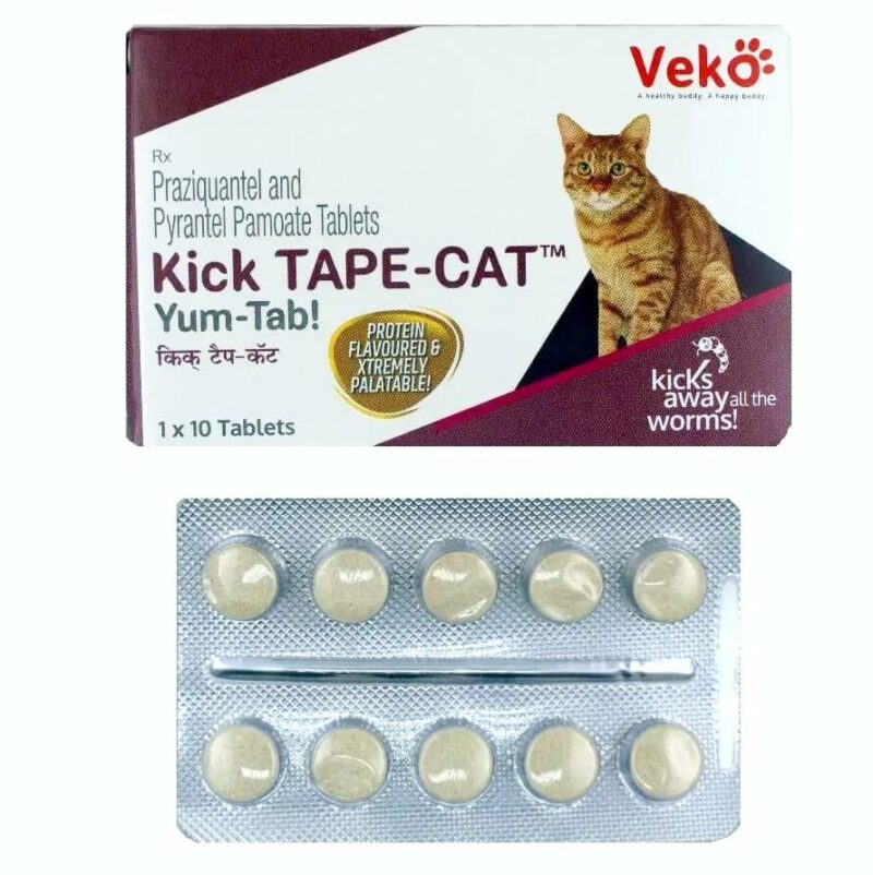 kick tape yum tab cat