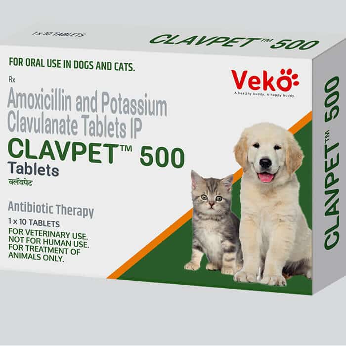 clavpet veterinary antibiotic
