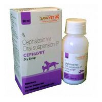 cephalexin for dogs & cats