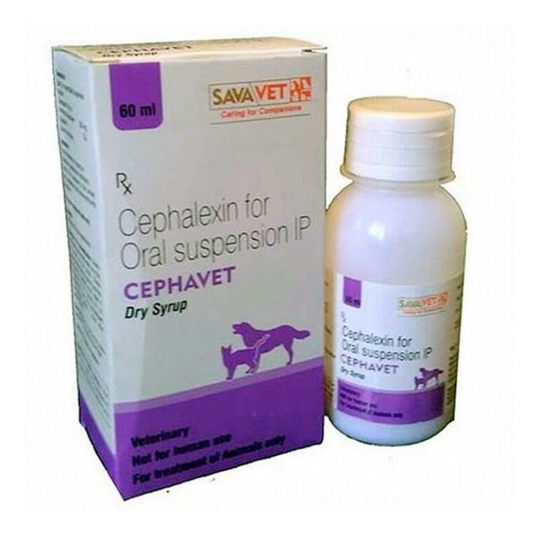 Savavet Cephavet Cephalexin dry syrup 120ml for dogs & cats LoyalPetZone