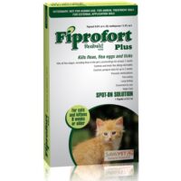 fiprofort cat spot on for fleas ticks