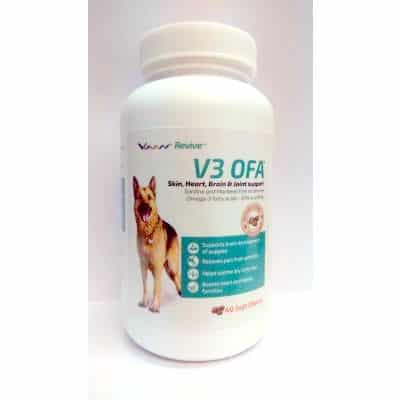 Vvaan Revive V3 OFA 40tabs for dogs - LoyalPetZone