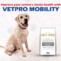 Vetpro mobility for dogs