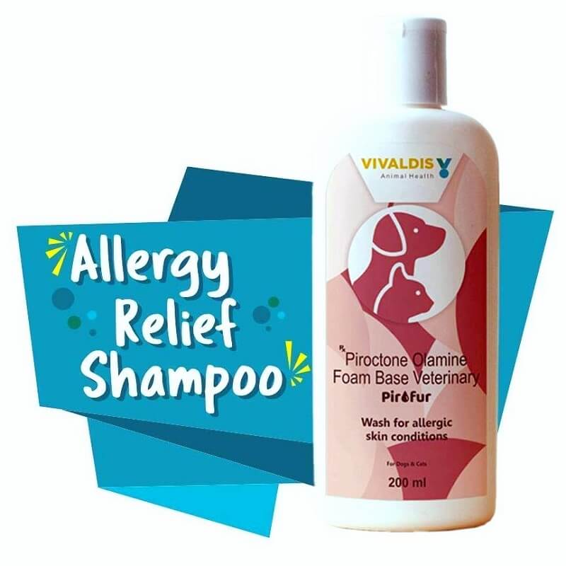 pirofur anti-allergy shampoo for dogs