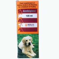 ambiplex syrup for dogs birds