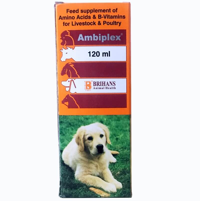 ambiplex syrup for dogs birds