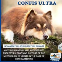 confis ultra tablets dogs