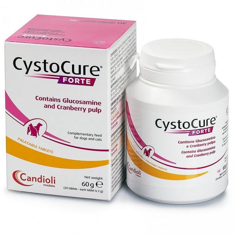 cyctocure forte for dogs