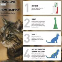 frontline plus cat spot on directions to use