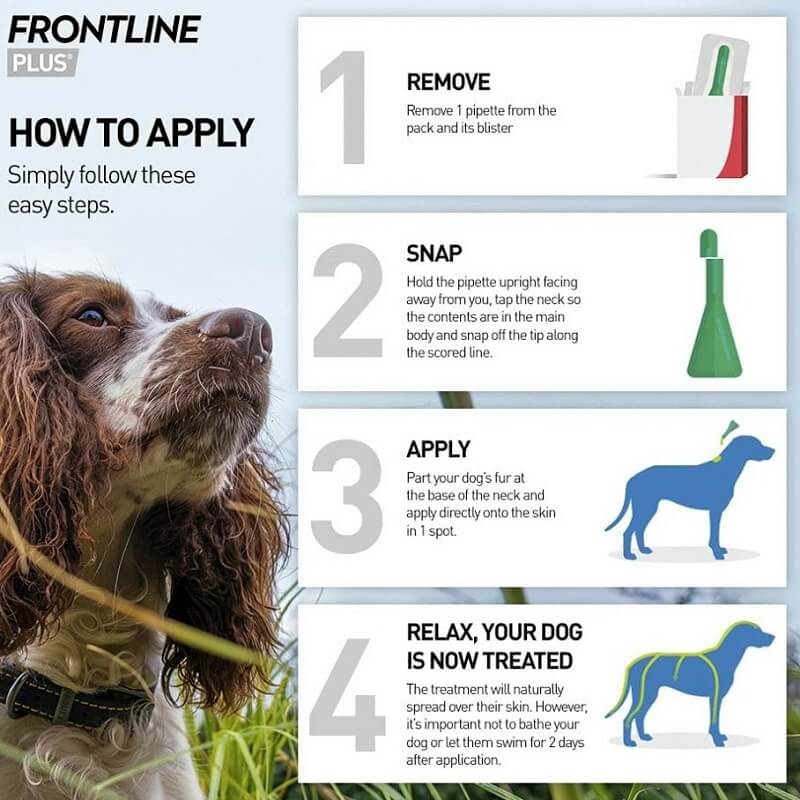 frontline plus dog how to apply