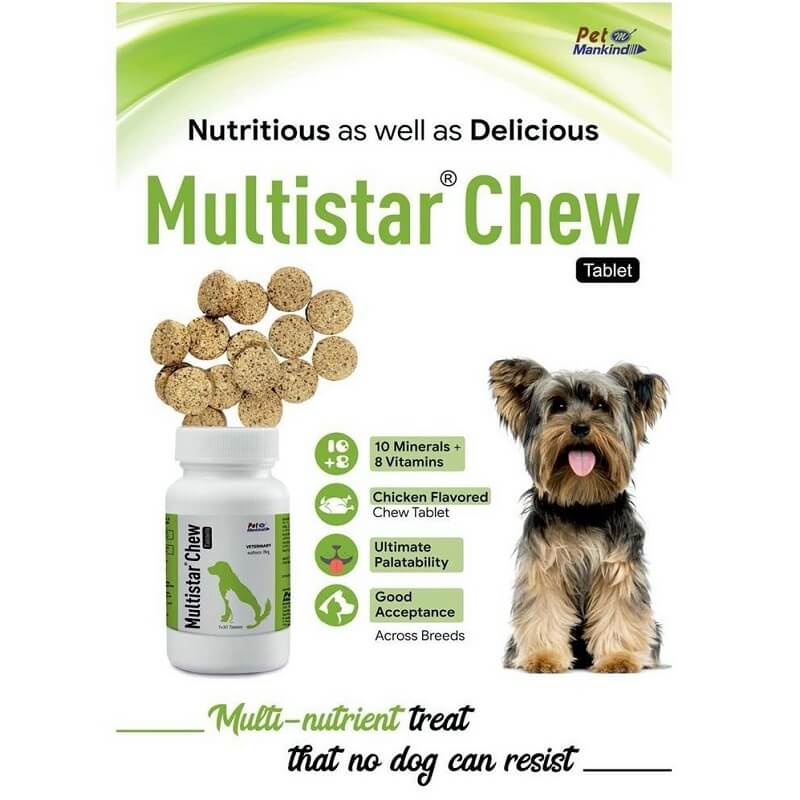 can dogs chew capsules
