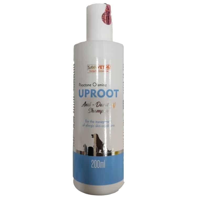 uproot anti dandruff dog shampoo