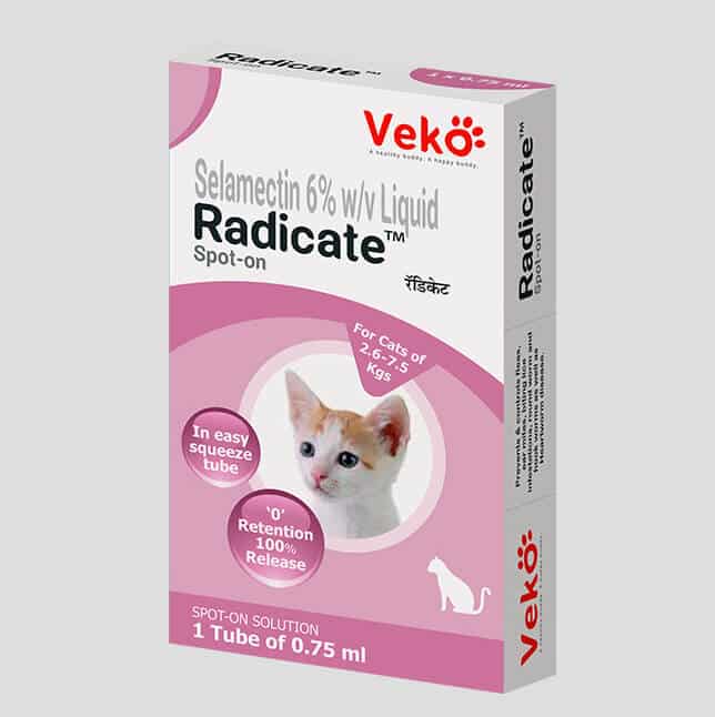 radicate selamectin spot on for cats
